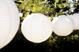 Close-up of hanging white lantern