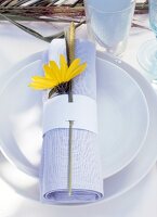 Close-up of yellow flower with rolled-up cloth napkin on white plate