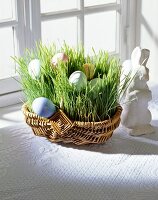 Wheat grasses and colourful Easter eggs in basket on window sill