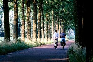 Two cyclists riding on country road surrounded with trees in North Brabant, Netherlands