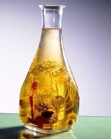 Vinegar and herbs in bottle