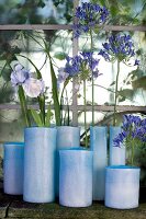 Agapanthus flowers in blue vase on window sill