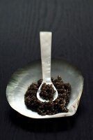 Russischer Kaviar in einer Muschel mit einem Perlmutt-Löffel