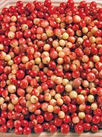 Close-up of pile of cranberries