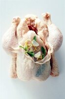 Raw chicken stuffed with lemon, garlic and herbs on white background