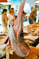 Swordfish in market, Marsala, Sicily