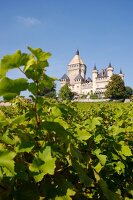 Château de Vufflens, Weingut in der Schweiz.