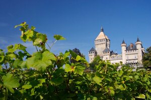 Château de Vufflens, Weingut in der Schweiz.