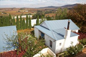 View of trees and vineyards from the terrace of Meinert Winery, South Africa