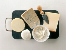 Different types of cheese