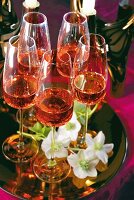 Rosé-Champagner in Gläsern auf Teller mit weißen Christrosen