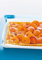 Close-up of apricot tart with vanilla and cream