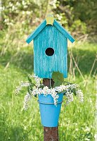 Bird house, blue bird house, hoasvht, flower pot, flowers