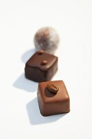Square and round shaped chocolates with coffee bean on white background
