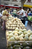 Cantaloupe-und Charentais Melonen in Kisten auf dem Markt liegend