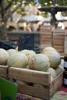 Charentais Melonen in Kisten auf dem Markt liegend