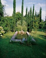 Garden of the gallery Doudou Bayol in southern France