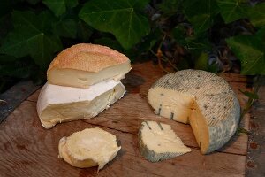 Three types of Gotland cheese on wooden board