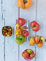 Viele unterschiedliche Tomatensorten