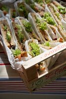 Close-up of sandwiches in basket