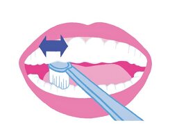 Illustration: Zähne richtig putzen Step 6 von 6