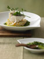 Haddock on pearl barley risotto with horseradish