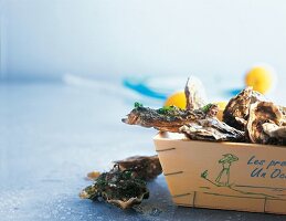 Fresh oysters in a crate