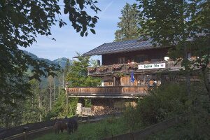 Restaurant Hafner-Alm in Oberbayern, Landhaus in den Bergen