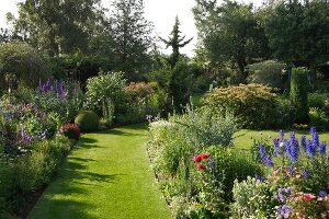 View of lush green garden with shrubs and flowers in summer