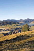 Schwarzwald: Hügellandschaft, Wälder Weiden, Häuser, herbstlich