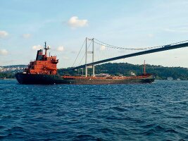 View of container ship in Bosphorus, Istanbul, Turkey