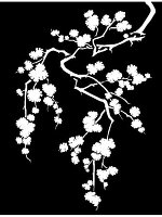 Illustration of white flowers on black background