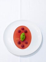 Gazpacho of raspberries and peppers with basil sorbet on plate