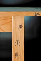 Möbelmalerei, Vier Ameisen auf Holz gemalt, von Kerstin Englmann