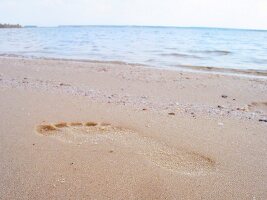 Close-up of footprint in sand at Baltic beach, Stralsund, Germany