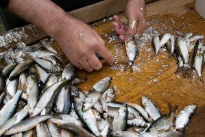 Frisch gefangene Weißfische werden mit dem Messer geschuppt, close-up