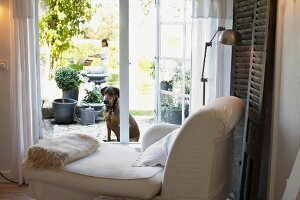 White long chair in living room overlooking dog in terrace garden