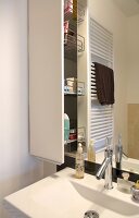 Modern bathroom with sink and apothecary cabinet