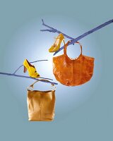 Bags and pumps hanging on blue branches