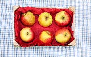 Various types of apples in a box, overhead view