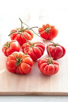 Tomaten "Ochsenherz" 
