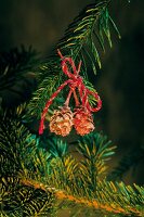 Close-up of various tree ornaments hanging on Christmas tree