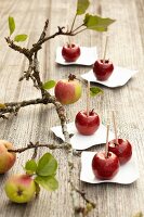 Chocolate apples: almond cream in chocolate with a fruit glaze