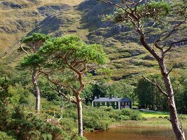 Irland: Connemara, Berglandschaft, grün, Gewässer, Delphi Lodge