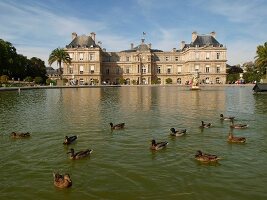 View of Jardin du Luxembourg in Paris, France