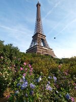 Paris: Blick auf Eiffelturm, Himmel blau.