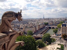 Paris: Fabelwesen von Notre-Dame, Blick auf Paris, Aufmacher