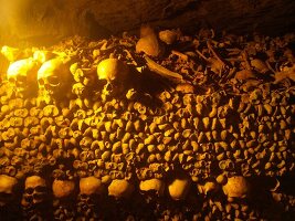Arranged ossements in Catacombs of Paris, Paris, France