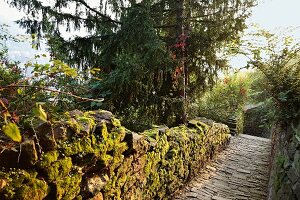 Stone pavement with mossy wall at Heidelberg, Germany