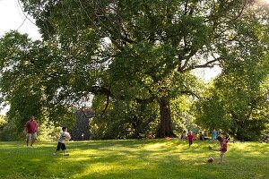 Children playing in park, New York, USA